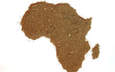 La face cachée du véganisme en Afrique
